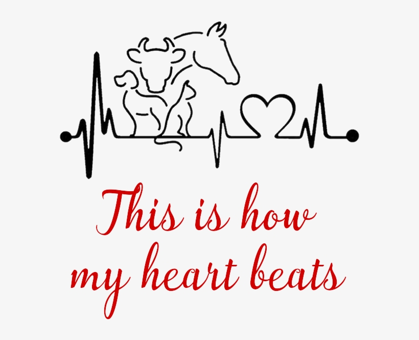 Do Dogs Have Regular Heart Beats