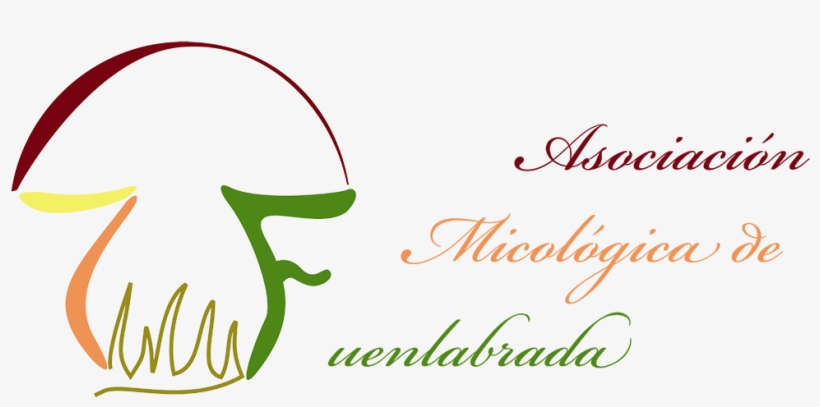 Setas En Peligro De Extinción En La Comunidad De Madrid - Arabian Horse, transparent png #7691419