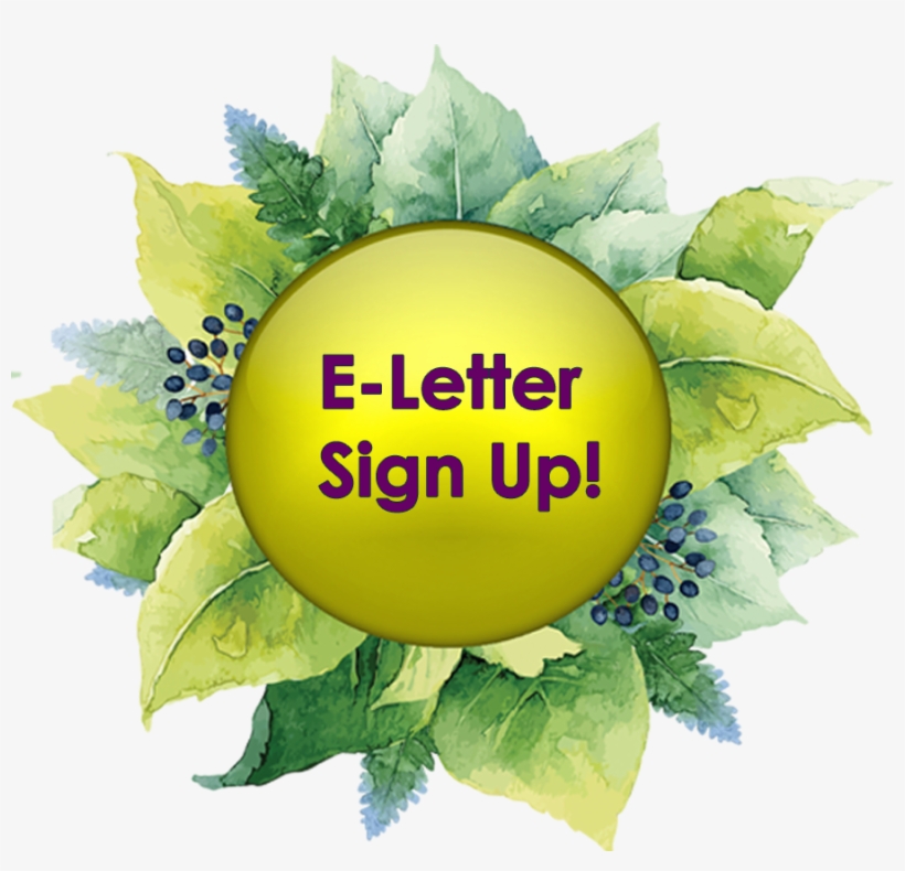 Sign Up For The Academy E Letter - Bioart Poster, transparent png #7693903