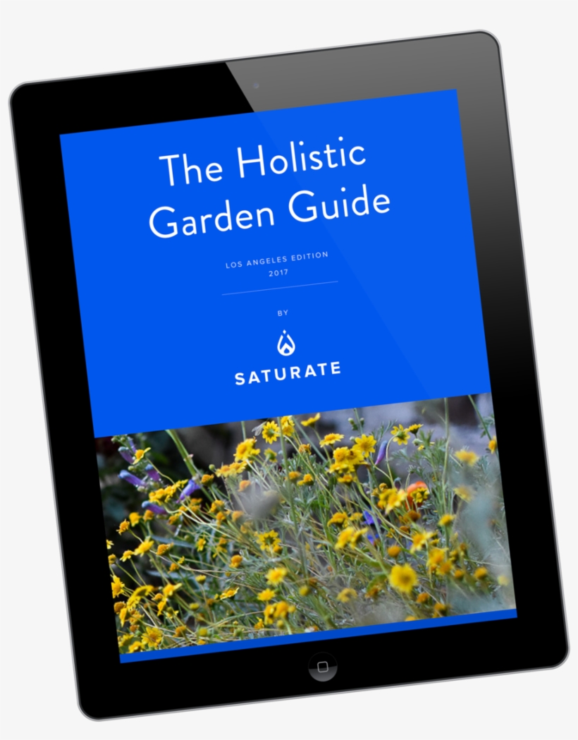 Mockup Angled Web Small - Tablet Computer, transparent png #7696045