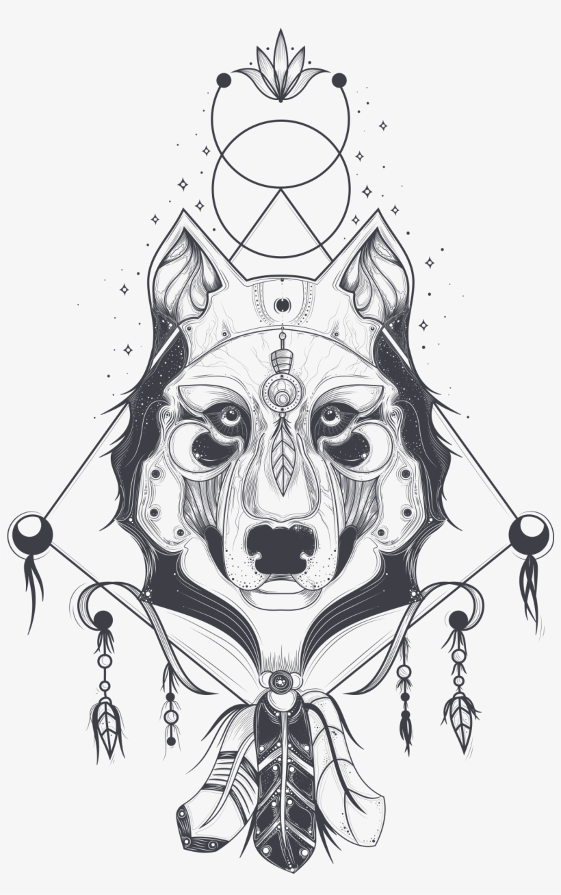 Download - Wolf Vector, transparent png #7697498