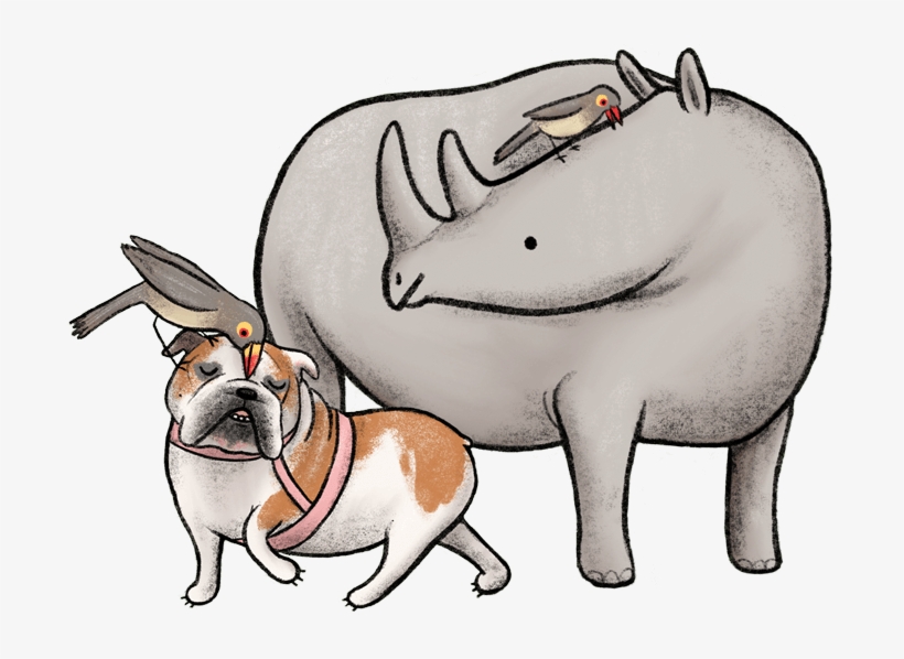 Lulu Is A Rhinoceros, transparent png #7697825