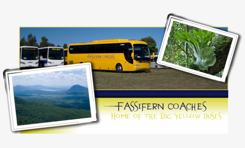 Yellow Buses Australia - Tour Bus Service, transparent png #7698450