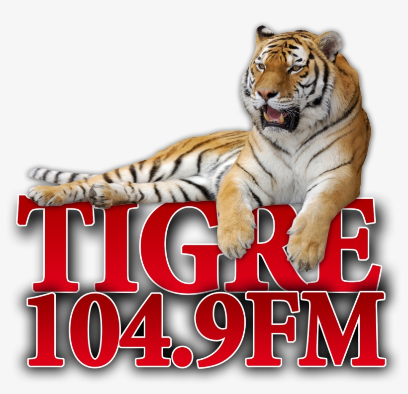 Denos Un “like” En Facebook Para Ganar Premios Y Regalos - Tiger Relaxing, transparent png #7698632