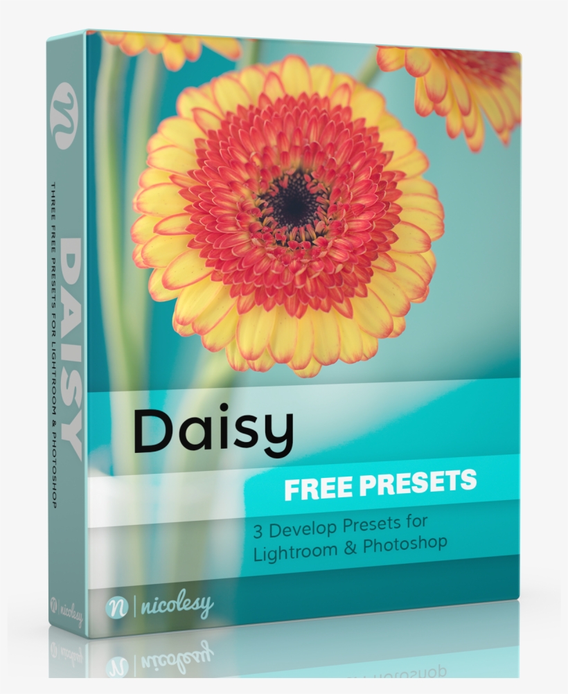 Lightroom Presets Daisy, transparent png #7698688