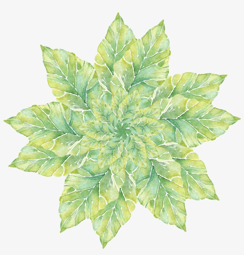 Simple Plant Watercolor Fresh Png And Psd - Houseplant, transparent png #7699226