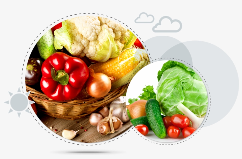 More Than Fresh - Taze Sebze Png, transparent png #7699425