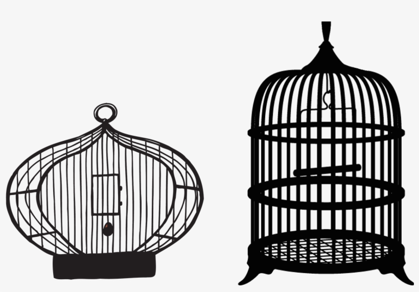 Bird Cage Transparent Background, transparent png #770043