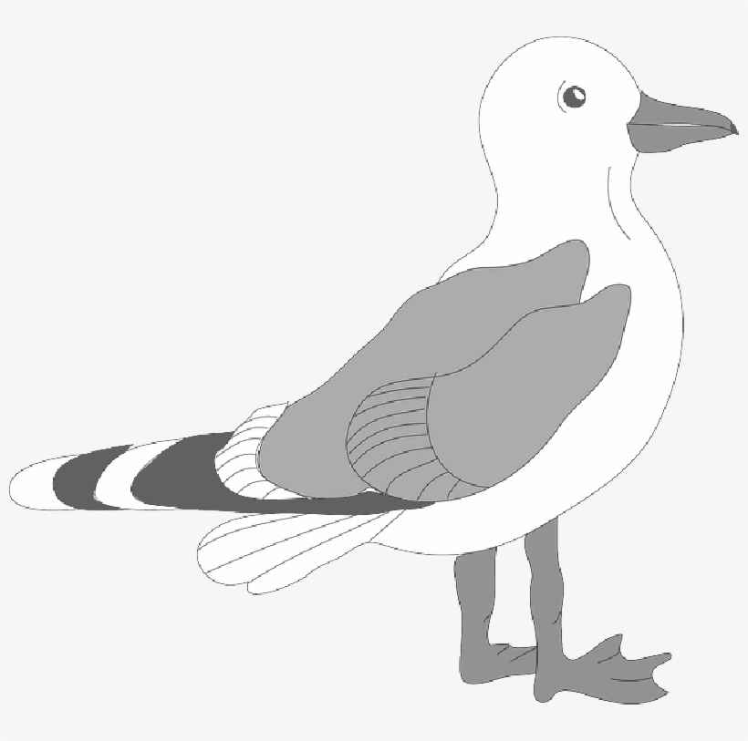 Download Gull Bird Png Transparent Images Transparent - Seagull Template, transparent png #770115