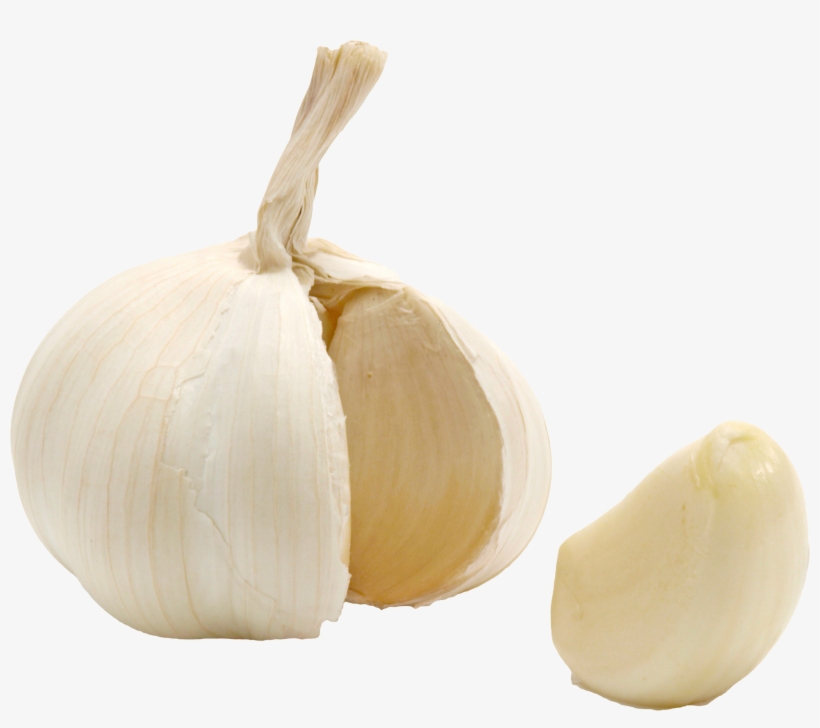 Garlic, transparent png #770262
