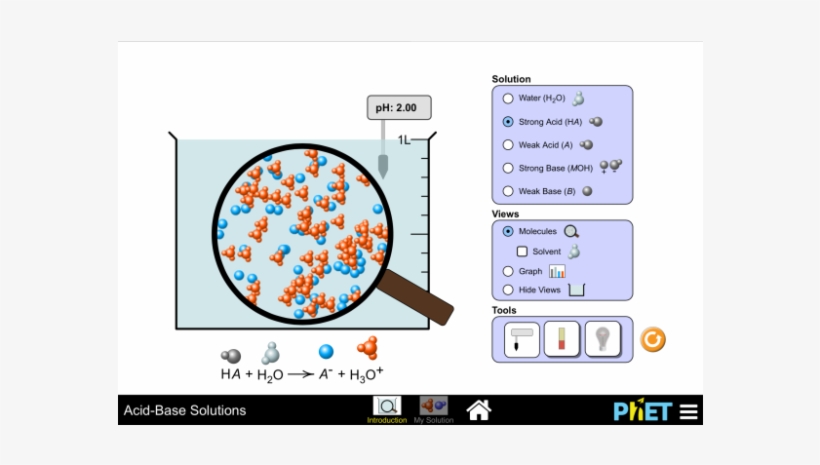 Bases - Education, transparent png #770689