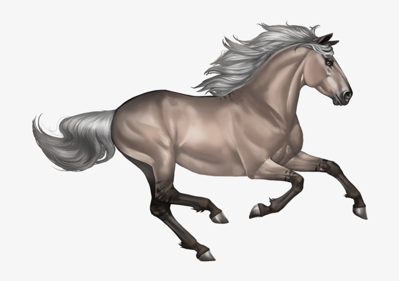 Silvergrullo - Horse Png, transparent png #770722