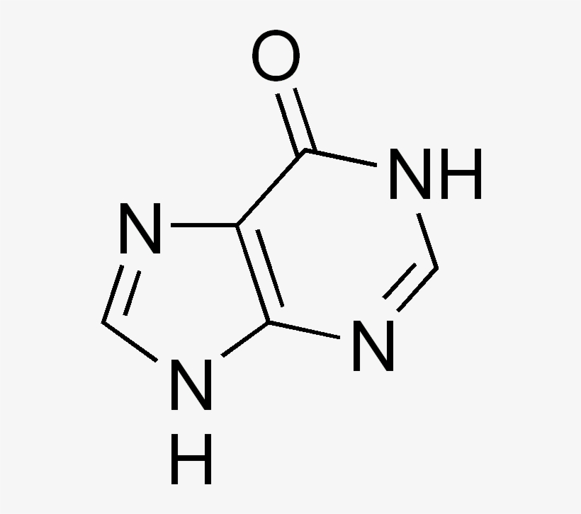 Hypoxanthine - Diagram, transparent png #770804