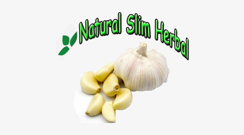 Herbal Garlic - Effortless Diced Garlic In Seconds! #1 Smart Garlic, transparent png #771046