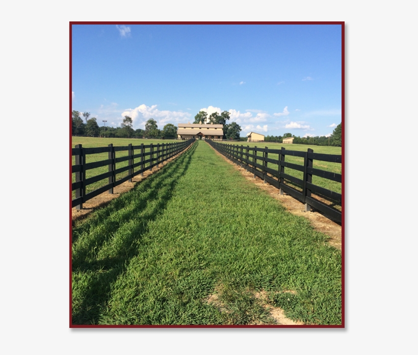 Serving North Carolina, South Carolina, Virginia For - Split-rail Fence, transparent png #771096