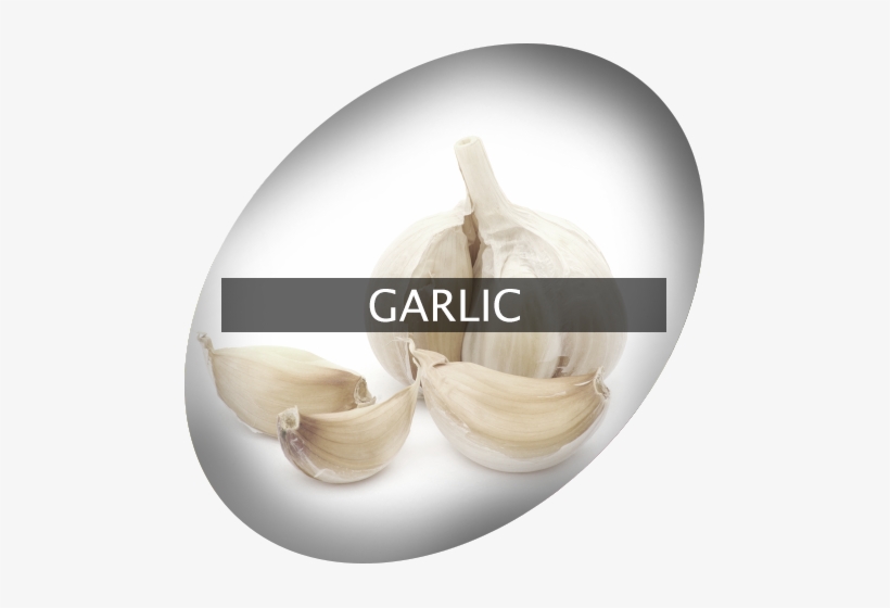 Landingimage Igrow Garlic - Garlic, transparent png #771118