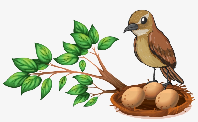Lenid Day Care - Bird Nest On Tree Clipart, transparent png #771148