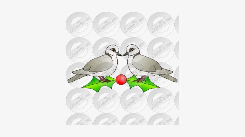 Two Turtle Doves Picture For Classroom / Therapy Use - Pigeons And Doves, transparent png #771348
