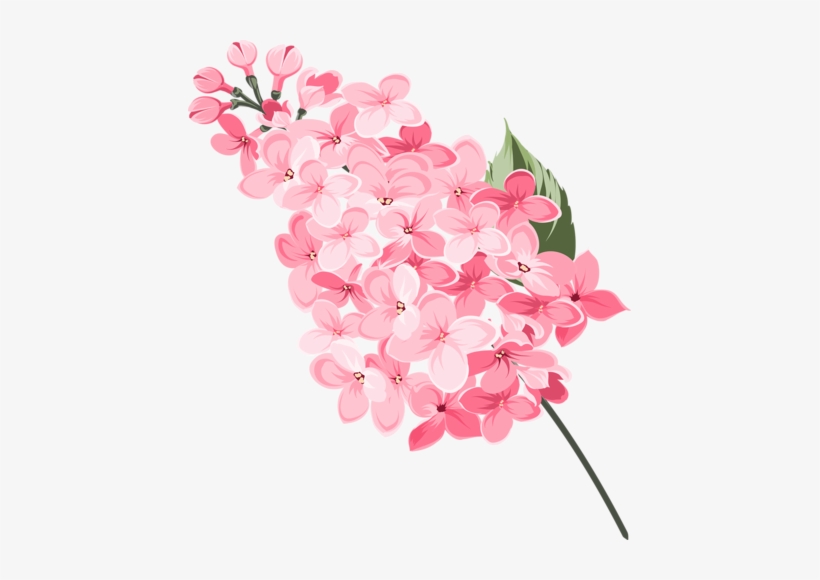 Beautiful Flowers - Euclidean Vector, transparent png #772377