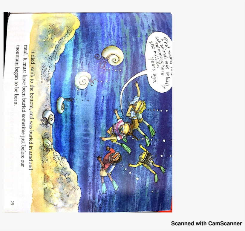 Quilting, transparent png #772586