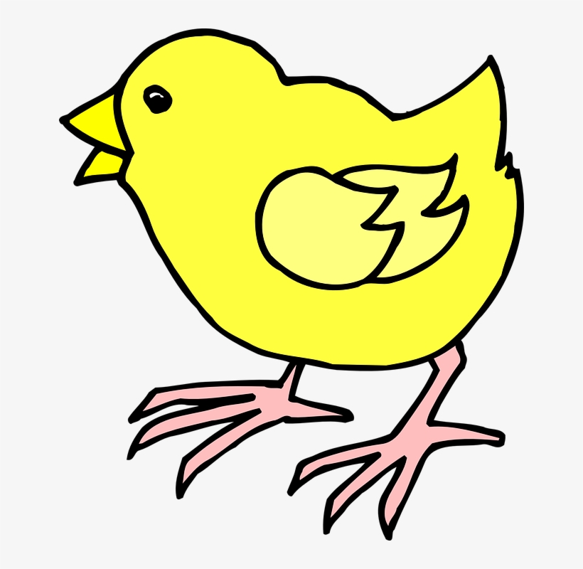 Chick Clipart Baby Chick - Cartoon Image Of Chick, transparent png #772723