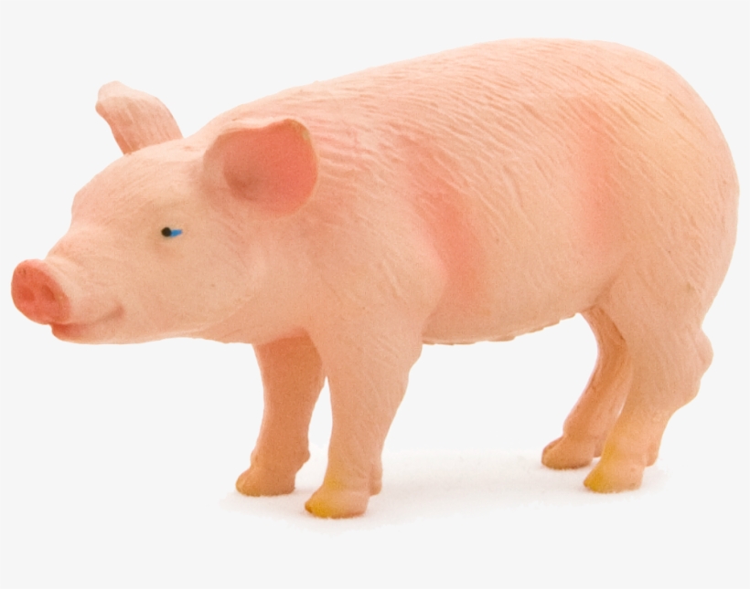 Animal Planet Piglet - Imagens De Animais Porco, transparent png #773074