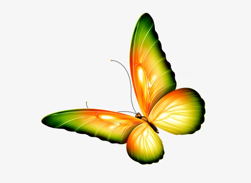 Clipart Flowers And Butterflies Border, transparent png #773222