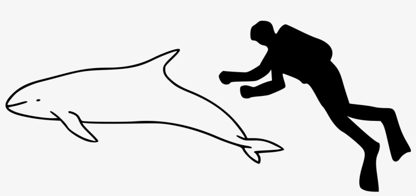 Open - Ganges River Dolphin Outline, transparent png #773261