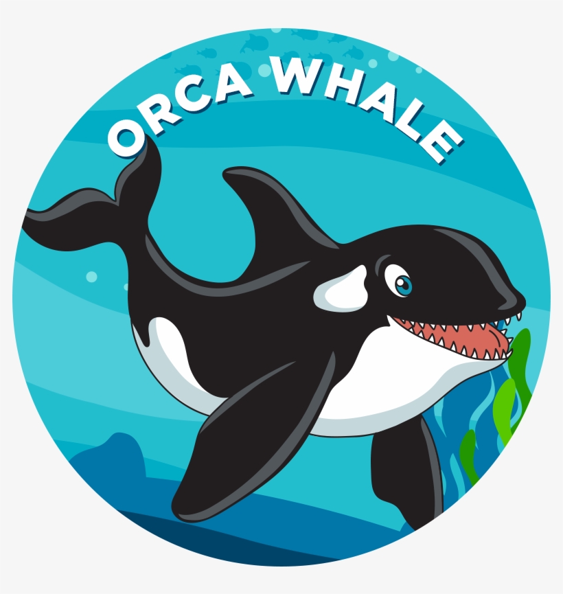Orca Whale - Narwhal, transparent png #773330