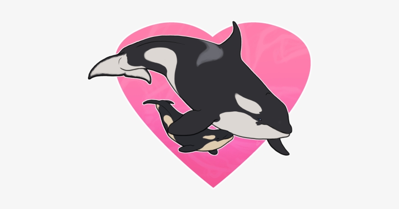 Tumblr Njsyal1jbt1r2elf0o1 500 - Whales, transparent png #773366