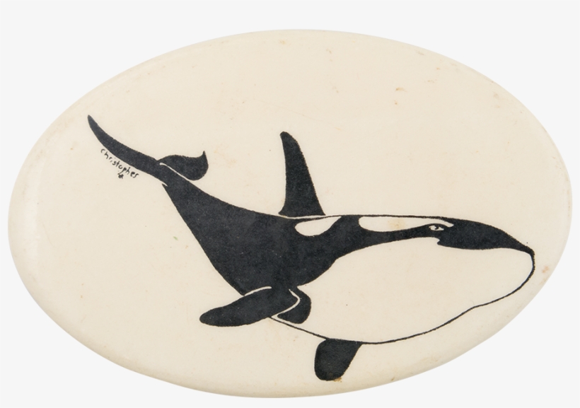 Orca Whale - Killer Whale, transparent png #773388
