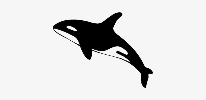 Killer Whale Transparent Images Png - Killer Whale Silhouette Png, transparent png #773449