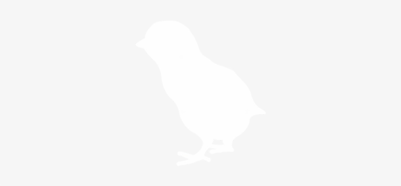 2018 Chick Season - Wood Thrush, transparent png #773498