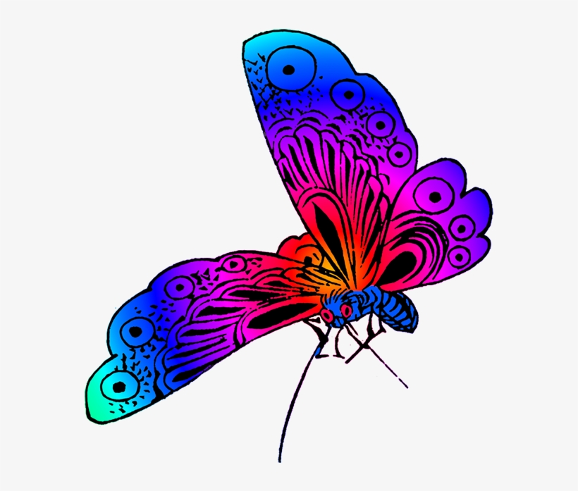 Colorful Beautiful Butterfly Images, Purple Butterfly - Beautiful Butterfly Clipart Png, transparent png #773595