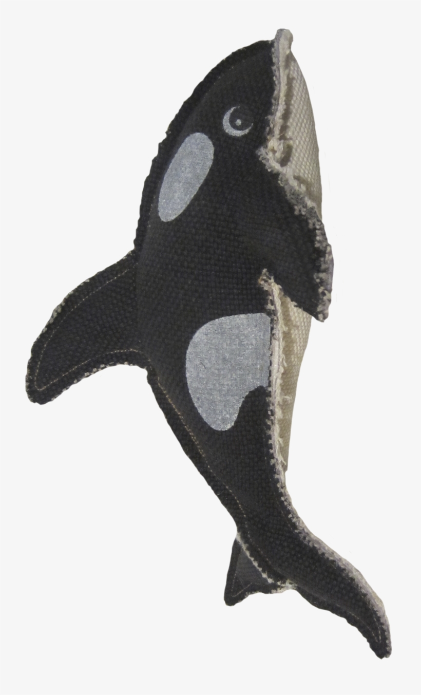 Shark, transparent png #773679