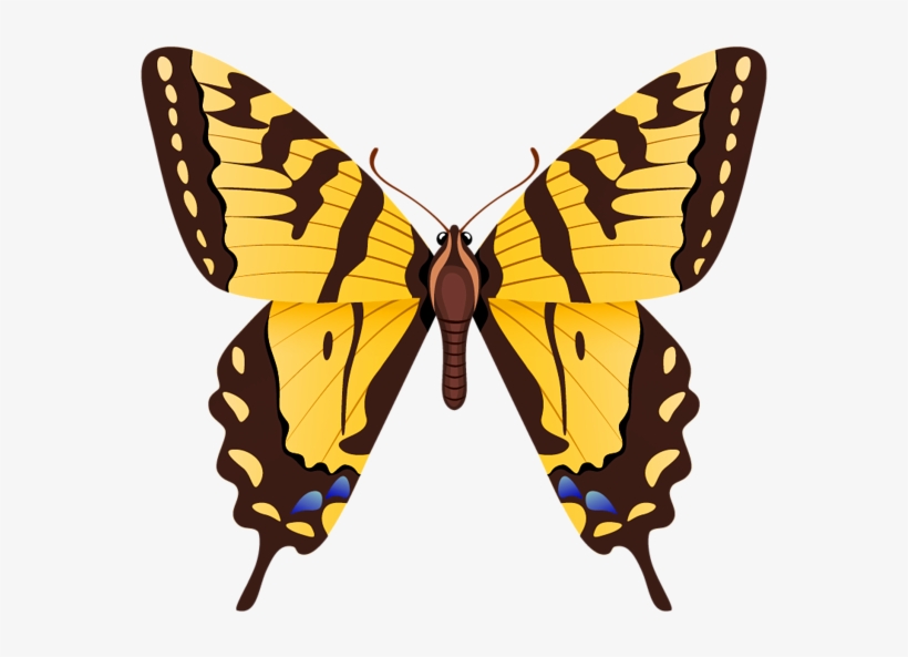 Butterfly Png Clipart Image - Tiger Swallowtail Butterfly, transparent png #773908