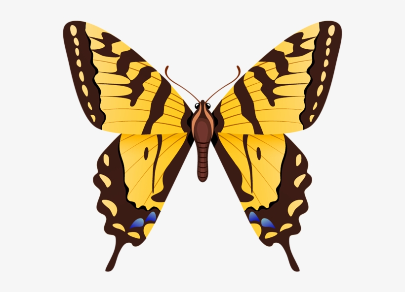 Butterfly Png Clipart Image - Tiger Swallowtail Butterfly, transparent png #773908