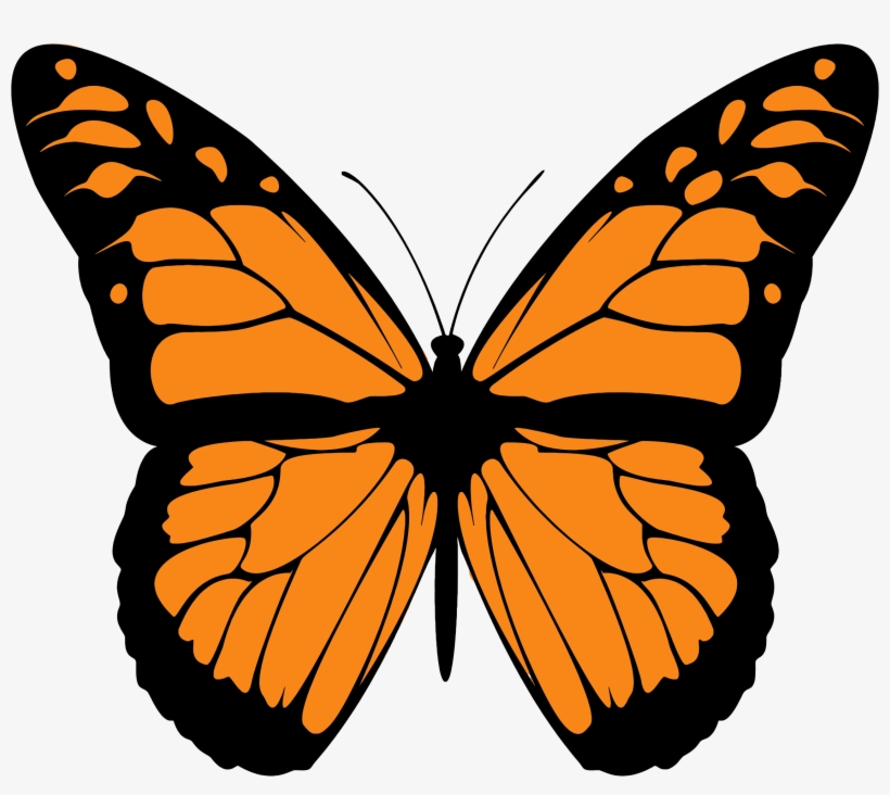 28 Collection Of Monarch Butterfly Clipart Png - Hindi Poem On Butterfly, transparent png #773931