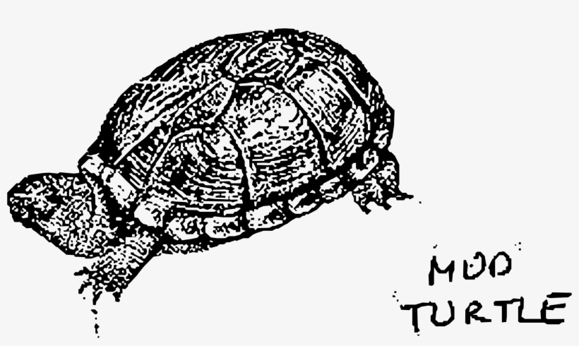 This Free Icons Png Design Of Mud Turtle, transparent png #774166