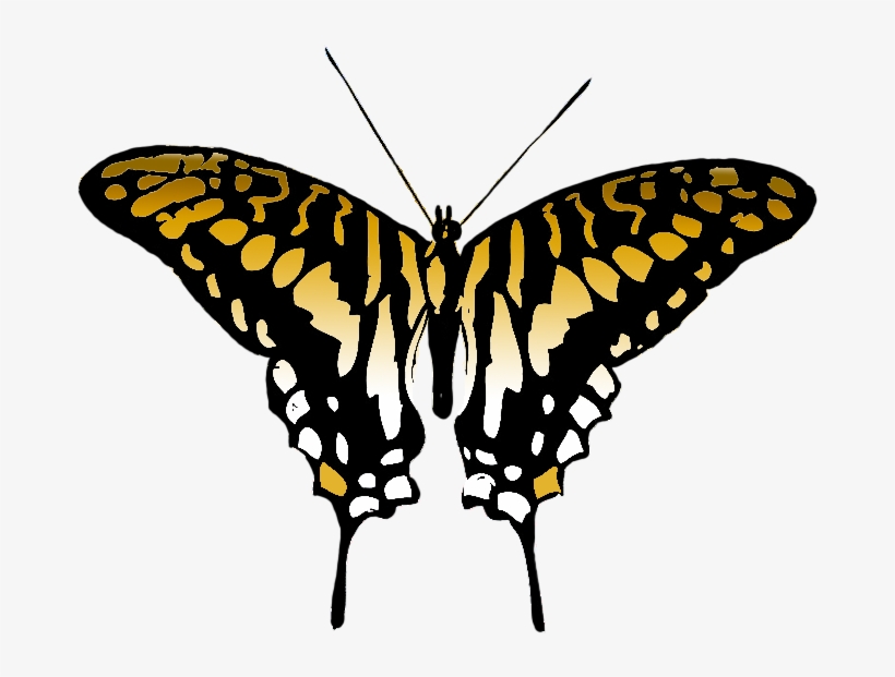 Butterfly Clipart - Swallowtail Butterfly Png, transparent png #774262