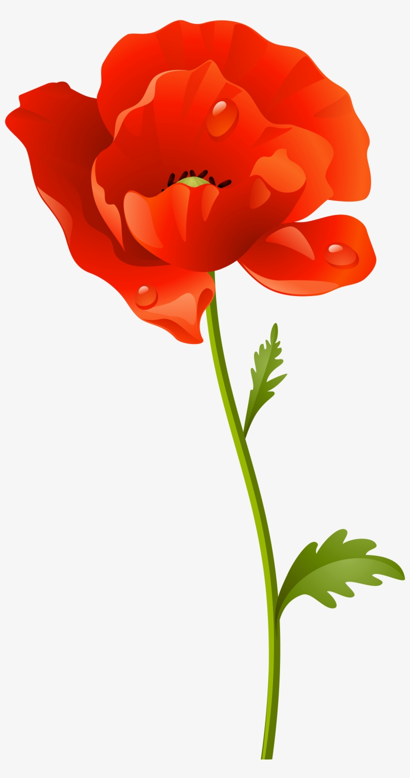 Red Poppy Flower Png Clip Art Image - Clip Art, transparent png #776201