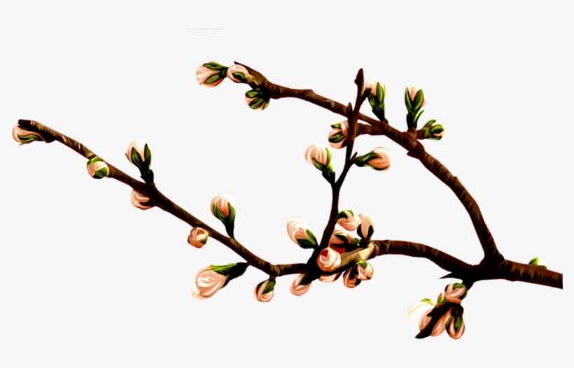 Весенний Набор - Twig, transparent png #777724