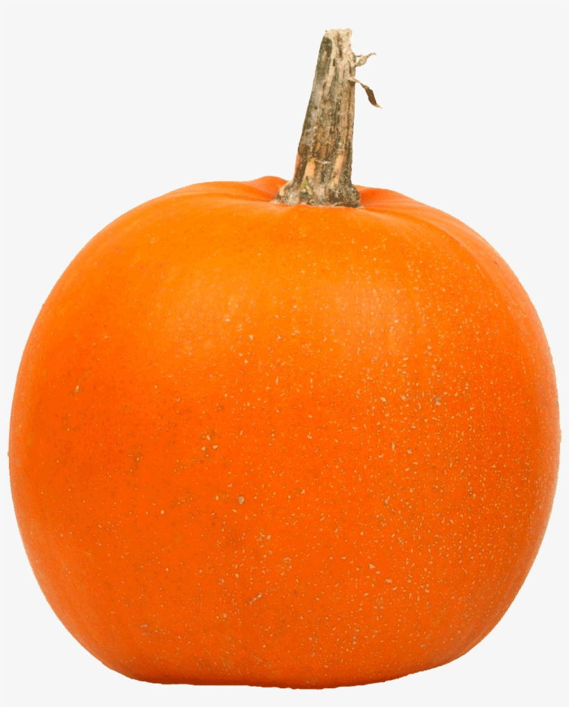 All Png Images Have A Transparent Background So They're - Pumpkins In A Row, transparent png #777833