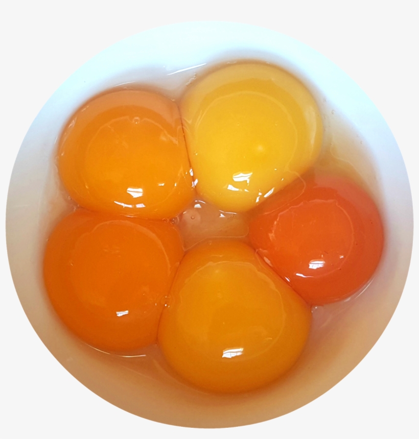 Are Fresh Eggs Really - Full Breakfast, transparent png #778099