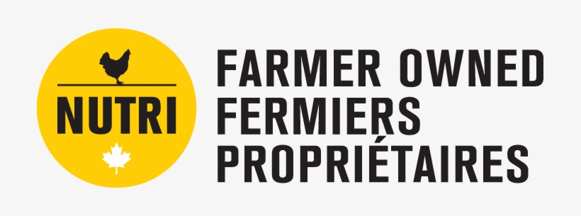 Pasteurized Liquid Egg Yolk - Wearing Propaganda By Jacqueline M. Atkins, transparent png #778477