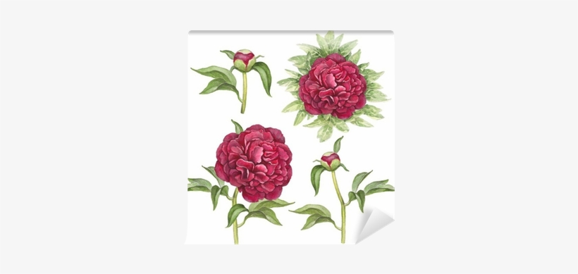 Watercolor Illustration Of Peony Flowers Wall Mural - Gigant.pl Torebka Upominkowa Kr 1424 M, transparent png #778642