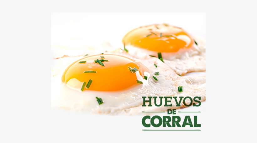 Eggs And Nutrition - Fried Eggs, transparent png #779103