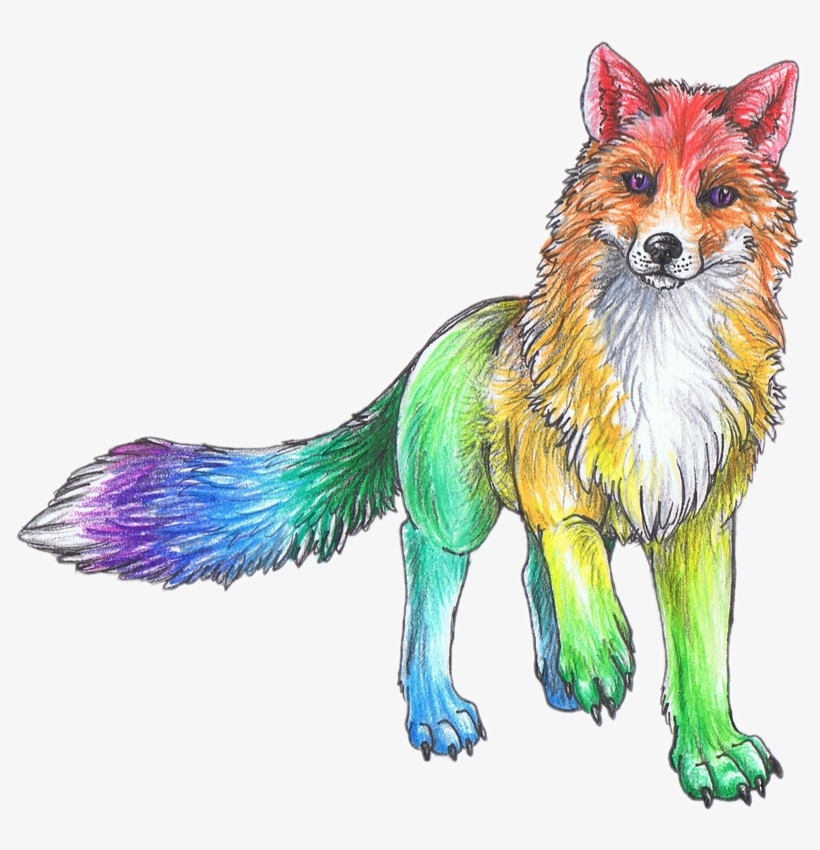 Rainbow Cute Animal Animals Sketch Art Drawing Colorful - Rainbow Fox, transparent png #779463