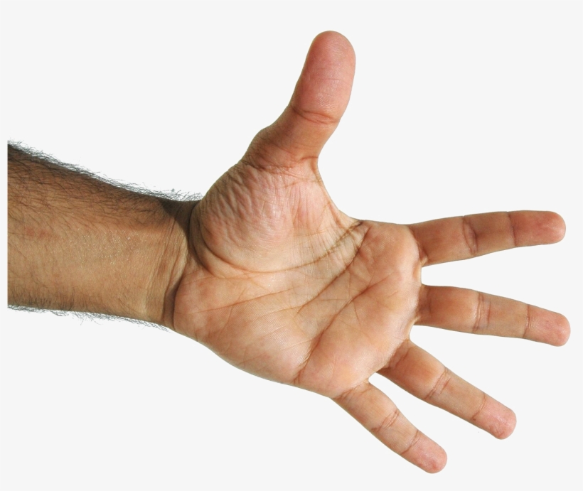 Fingers Png Free Background - Mao 5 Dedos, transparent png #7700360