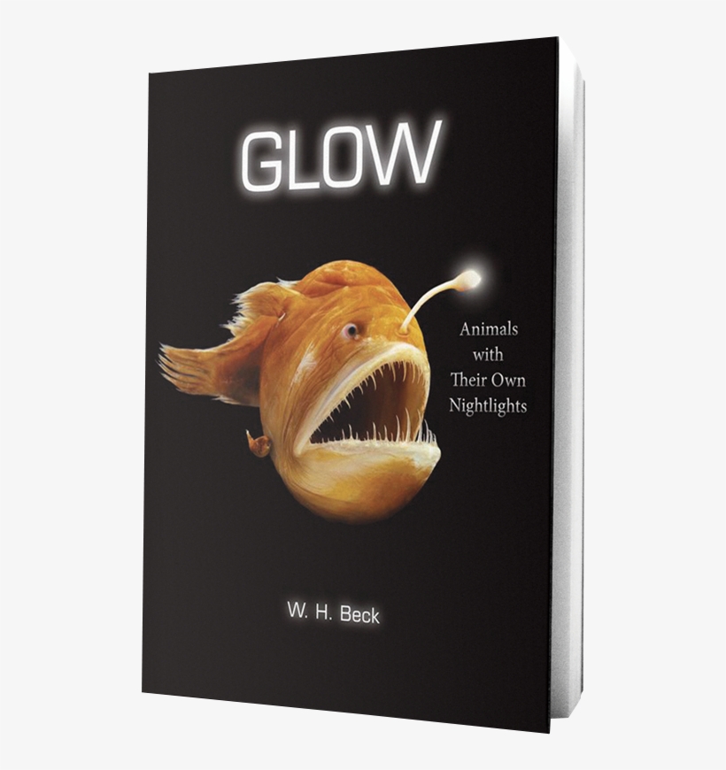 Glow Book On Transparent Background - Glow Animals With Their Own Night Lights, transparent png #7701507